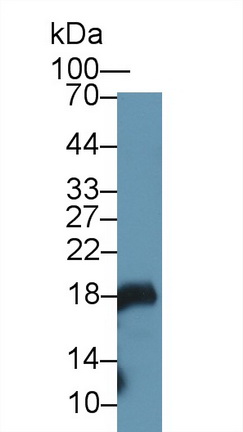 9412