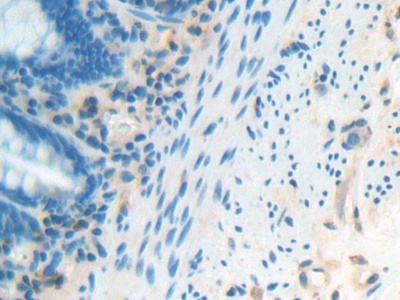 5443