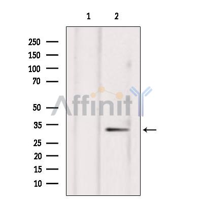 Валидация Affinity DF4232 - 15609