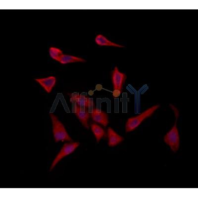 Валидация Affinity DF12158 - 6351