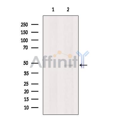 Валидация Affinity DF6285 - 17594