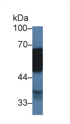 9880