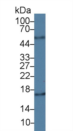 14672