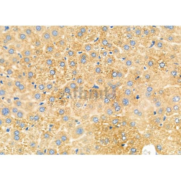 Валидация Affinity DF12458 - 6999