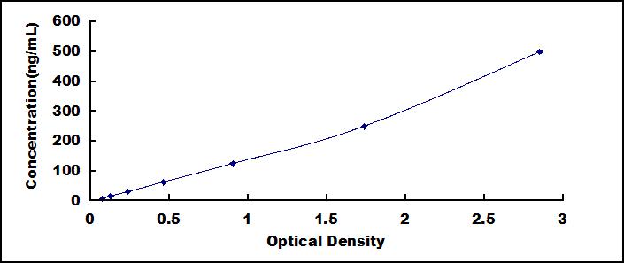 34003