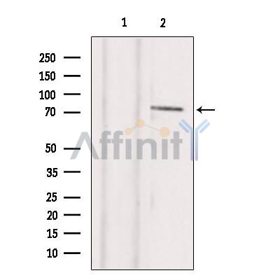 Валидация Affinity AF9210 - 5044