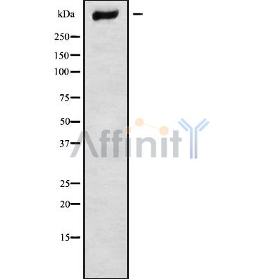Валидация Affinity DF9384 - 21920