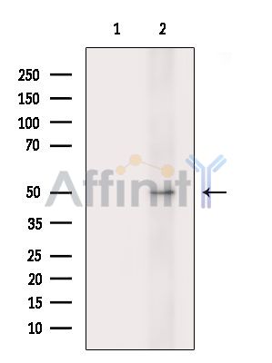 Валидация Affinity DF15681 - 12136
