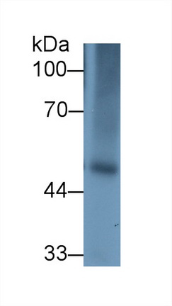 13420