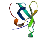 Survival Of Motor Neuron 1, Telomeric (SMN1)