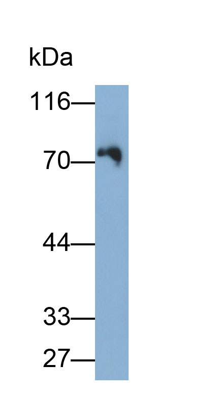 36180