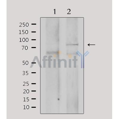 Валидация Affinity DF3165 - 13970