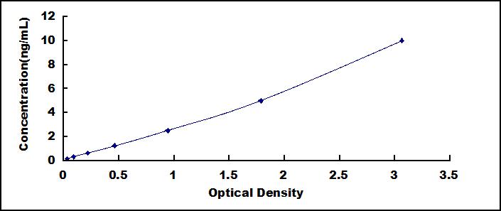 62131