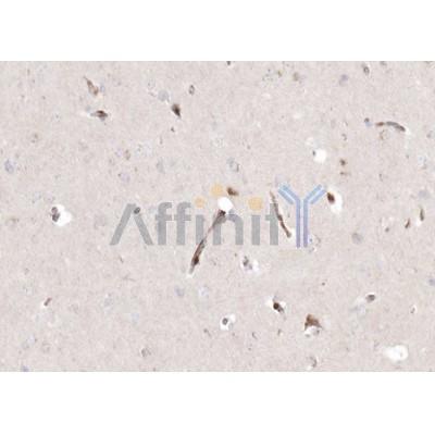 Валидация Affinity AF5177 - 2601