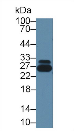 8549