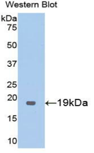 39442