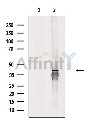 Валидация Affinity DF4111 - 15403