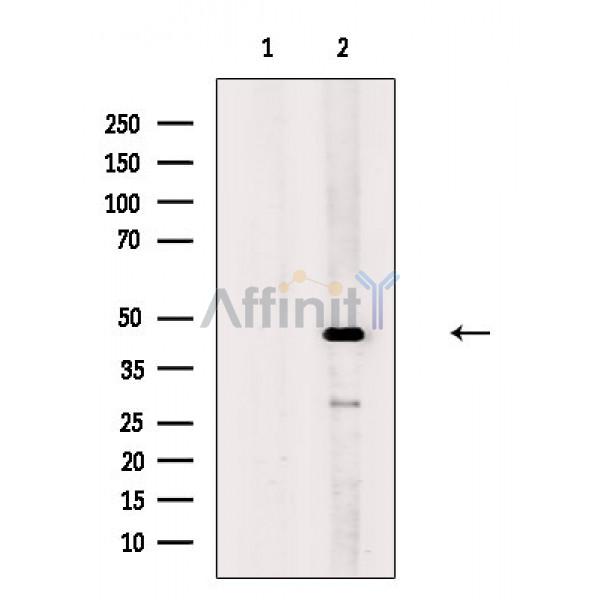 Валидация Affinity DF3505 - 14427