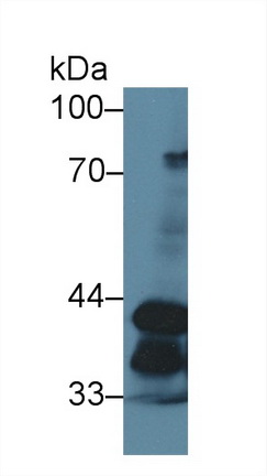 13588