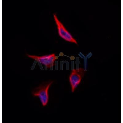 Валидация Affinity DF12461 - 7006