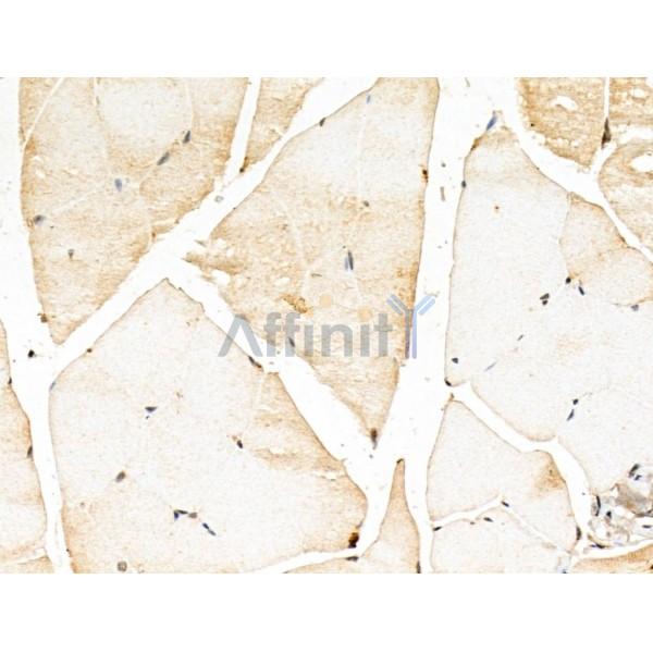 Валидация Affinity DF13173 - 8148