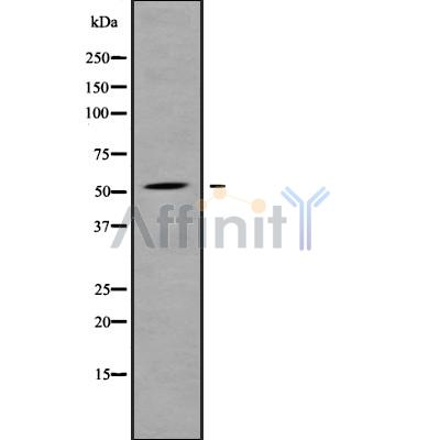 Валидация Affinity DF9204 - 21596