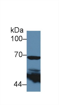 9133