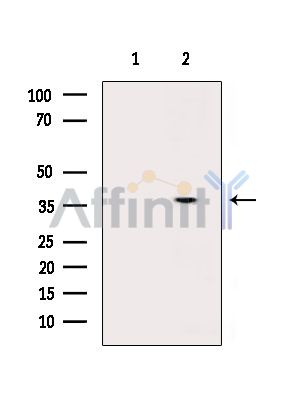 Валидация Affinity DF15973 - 12501