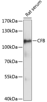 Валидация Elabscience E-AB-66031