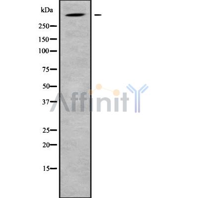 Валидация Affinity DF10217 - 5785