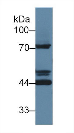 13579