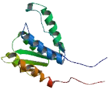 2"-Deoxynucleoside 5"-Phosphate N-Hydrolase 1 (DNPH1)