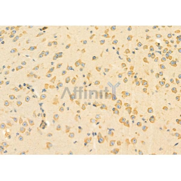 Валидация Affinity DF3712 - 14759