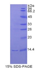 50637