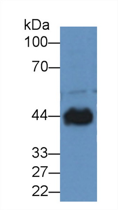 8353