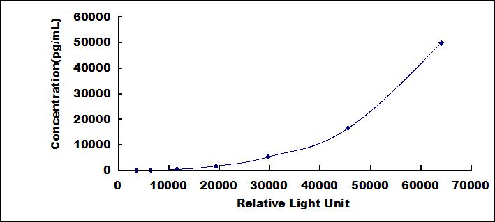 46113