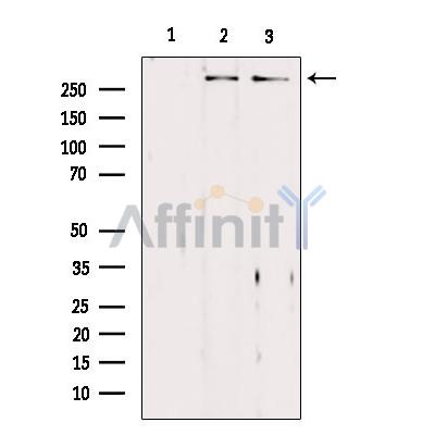 Валидация Affinity DF10064 - 5537