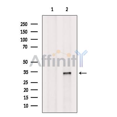 Валидация Affinity DF12352 - 6788
