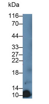 12372