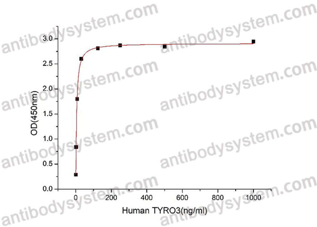 Валидация активности AntibodySystem AHG08901