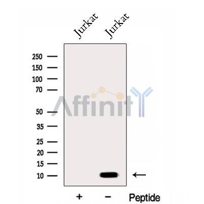 Валидация Affinity DF12979 - 7754