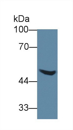 8869