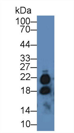 8989