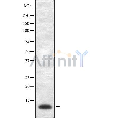 Валидация Affinity DF8628 - 20568