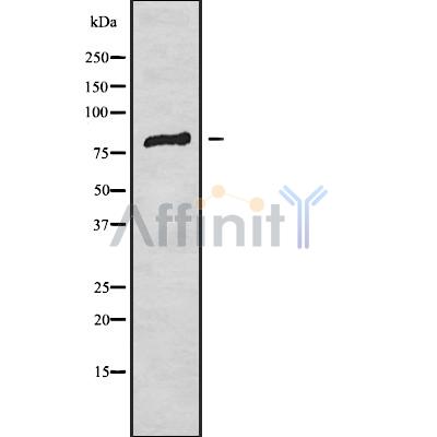 Валидация Affinity DF9592 - 22285