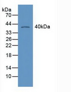 5478