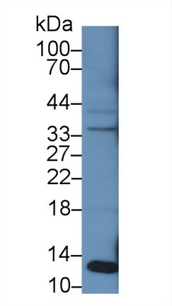 14764