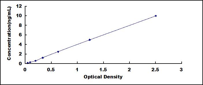 49666