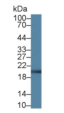 14390