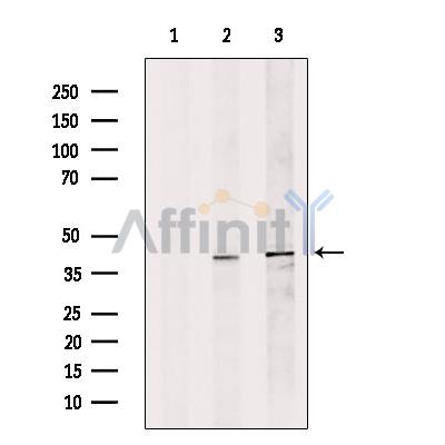 Валидация Affinity DF13360 - 8581